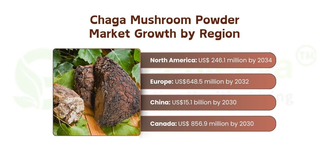 Chaga Mushroom Powder Market Growth by Region